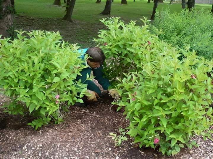 Entretien de jardin Vierzon