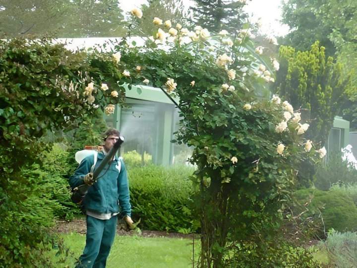 Services de jardinage Vierzon