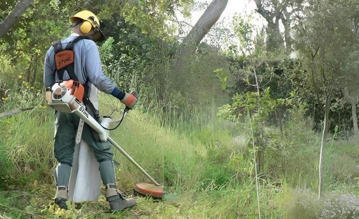 Jardinier professionnel Vierzon