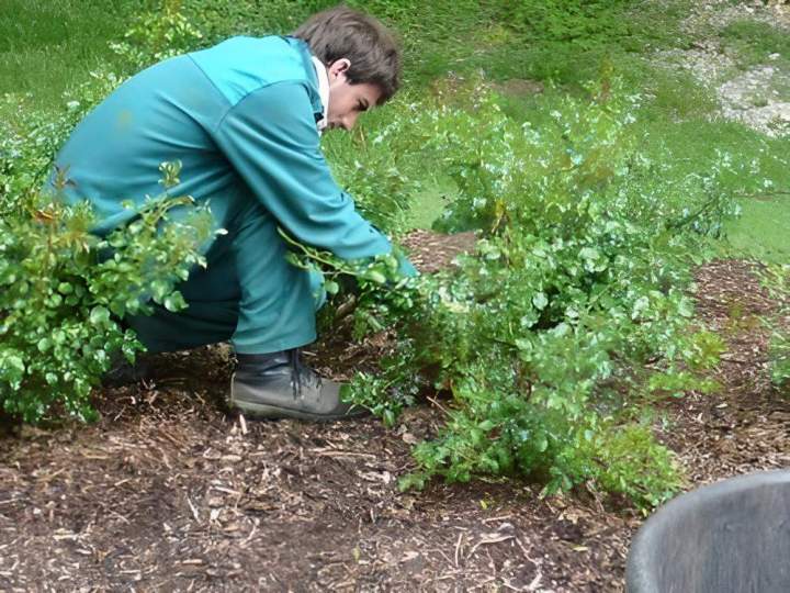 Services de jardinage Vierzon