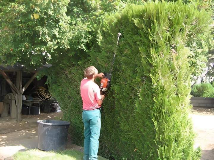 Jardinage Vierzon