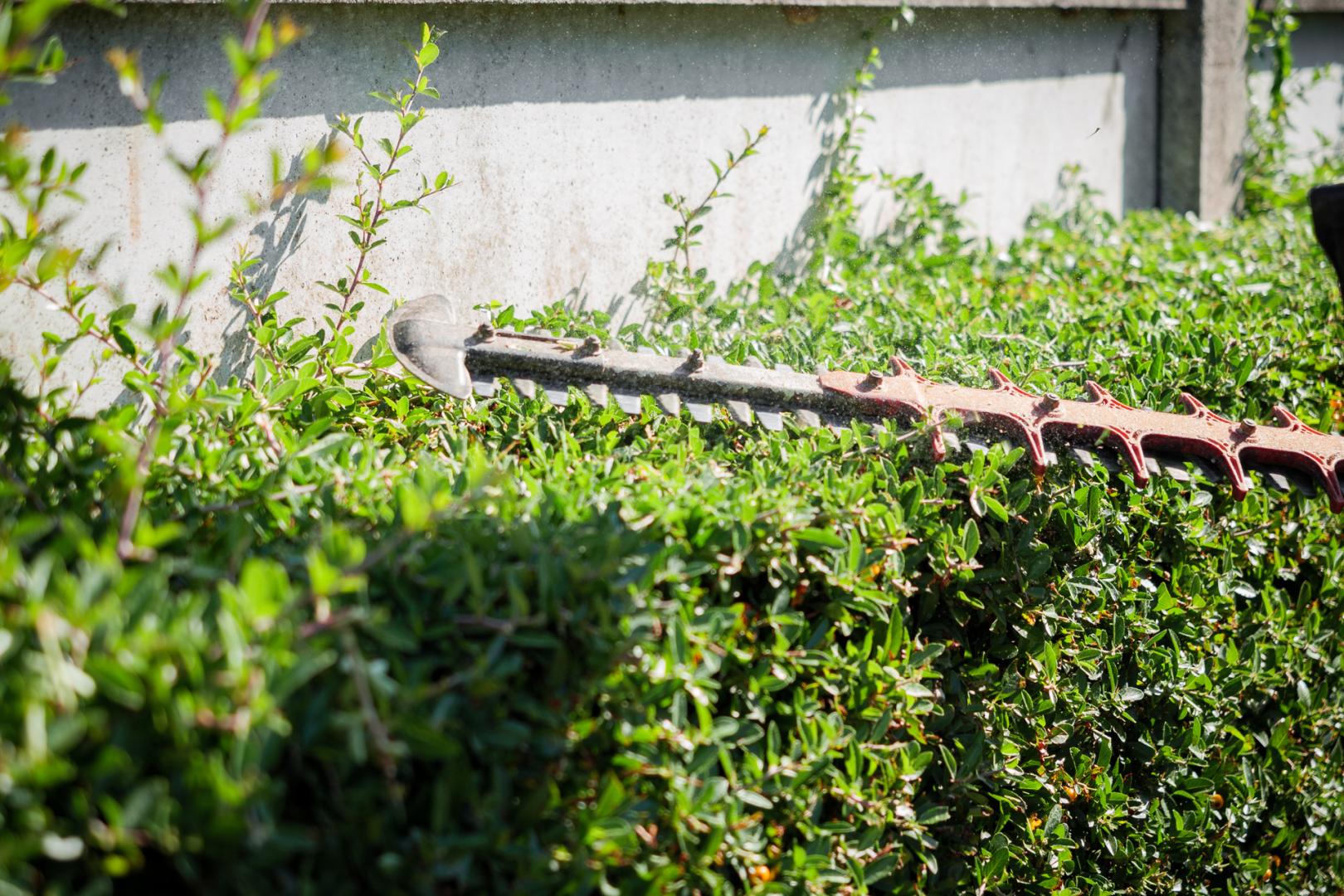 Entretien de jardin Vierzon