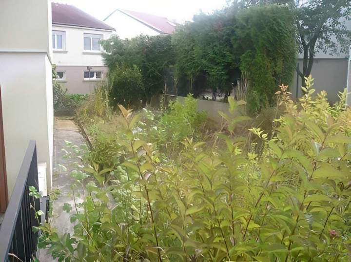 Taille haies et arbustes Vierzon