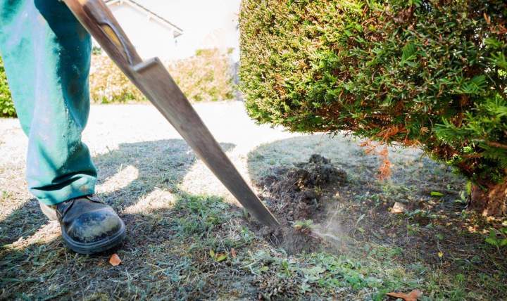 Travaux de jardinage Vierzon