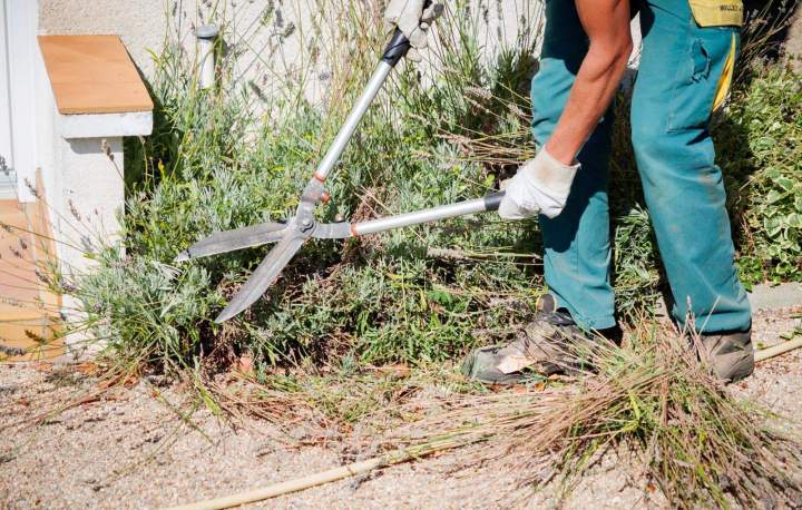 Services de jardinage Vierzon