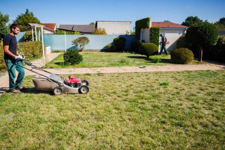 Entretien pelouse Vierzon