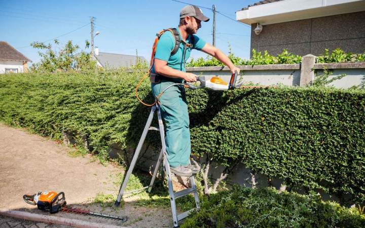 Services à la personne travaux de jardinage Vierzon